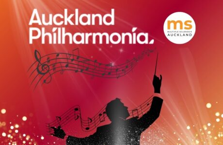Hauora Music Experience 2026